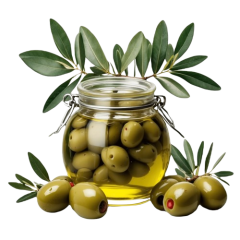 image-removebg-preview5