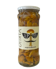 dow2e9jgpz9fbemk61xo21d5euiwr328